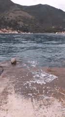 Maritime scenes captured across Dobrota bay, Montenegro waterfront