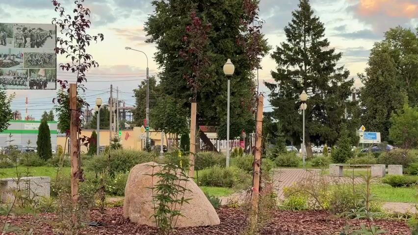 The video captures an outdoor scene, likely a park or public space, with a focus on a planted area in the foreground. A large, light-colored boulder sits prominently in the center of the frame, surrounded by mulch and young plants supported by stakes. Several small trees, some with dark red leaves, are also visible, their trunks wrapped for protection. In the background, a billboard displays a collage of historical images, featuring what appears to be military personnel and celebratory events, with text that includes "ГОД ЗАЩИТНИКА ОТЕЧЕСТВА" which translates to "Year of the Defender of the Fatherland." Beyond the billboard, a street scene unfolds with buildings, streetlights, and passing vehicles. The sky above is cloudy, suggesting it might be late afternoon or early evening. The overall ambiance is one of a well-maintained public space with a historical or commemorative theme.