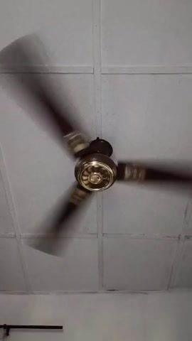 The video shows a ceiling fan with three blades spinning quickly against a white tiled ceiling. The fan is brown with gold accents on the center and around the base of each blade. A thin black bar is partially visible in the lower left corner of the frame. The lighting is somewhat dim.