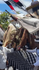 Religious procession with traditional dress marches through Dalung, Indonesia