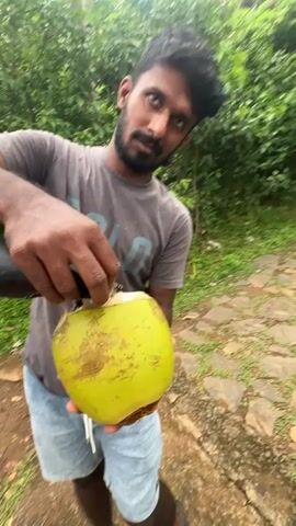 A young man with dark hair and a beard, wearing a grey t-shirt and denim shorts, is standing outdoors. He is holding a large, green coconut in his left hand, tilted towards a black water bottle. He is using a tool to puncture the top of the coconut, and clear liquid is pouring from the coconut into the bottle. The man is smiling. The background consists of lush green foliage and a cobblestone path.