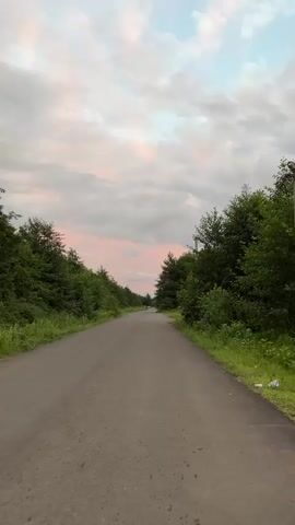 A vertical shot captures a paved road disappearing into the distance, flanked by lush green trees on either side. The sky above is filled with a mix of white and gray clouds, tinged with soft pink hues, suggesting either sunrise or sunset. The perspective is from ground level, looking straight ahead along the road. The overall atmosphere is serene and natural.