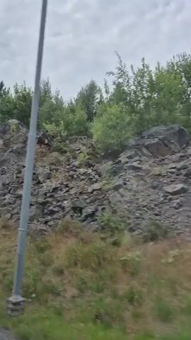 The video shows a landscape with a rocky hill covered in vegetation. The hill is composed of large gray rocks with some lighter-colored patches. Green trees and bushes grow on top and around the rocky slope. In the foreground, there is green grass and some scattered pink wildflowers. The sky is overcast with gray clouds. The video appears to be shot from a moving vehicle, as the perspective shifts slightly throughout the short clip, giving a sense of motion. There are no people or man-made objects clearly visible in the frame.