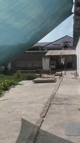 The camera moves slowly across a concrete patio in a backyard on a sunny day. A large, green shade tarp covers part of the patio, casting shadows on the ground. To the left of the patio is a small, green garden with young plants. Behind the garden are a couple of small buildings with tile roofs. To the right of the patio is a white building with windows. The overall impression is that this is a quiet, rural backyard scene.