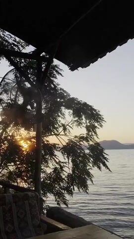 This media file captures a serene waterscape at dusk, likely in Milas, Turkey. The scene unfolds from a sheltered viewpoint, suggested by the presence of a dark, textured roofline in the foreground. A leafy tree on the left partially obscures the view, its branches silhouetted against the soft twilight sky.

The main focus is a tranquil body of water, possibly a lake or bay, with gentle ripples reflecting the fading light. In the distance, low-lying hills or mountains form a hazy silhouette against the horizon, characteristic of the Milas region. The sky transitions from a pale yellow near the horizon to a soft, dusky blue overhead, indicating the time of day is early evening or late afternoon.

A small, dark boat is visible on the water, adding a subtle element of human presence or activity. The overall mood is peaceful and calm, evoking a sense of quiet contemplation. There is no visible text in the media file. The gentle lapping of water and the soft light create a tranquil atmosphere, typical of a peaceful evening by the water.