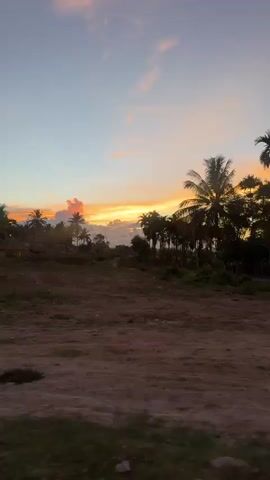 This media file captures a sunset in Meureudu, Indonesia. The scene transitions through various views, revealing a rural landscape bathed in the warm, vibrant colors of dusk.

The primary subjects are the natural elements: a dramatic sky filled with hues of orange, pink, and blue, punctuated by soft clouds. Silhouetted against this backdrop are numerous palm trees and other tropical foliage, creating a distinctly Southeast Asian ambiance. In the foreground, dirt roads and patches of dry earth are visible, suggesting an unpaved or rural setting.

Several man-made structures are observed. These include simple wooden buildings with corrugated metal roofs, some appearing to be shops or open-air stalls. Fences made of wood and bamboo line some of the properties. There are also occasional architectural elements like concrete pillars, possibly part of an entrance or gate. A bicycle is briefly visible leaning against a fence.

The activity appears to be a slow pan or drive through the area, allowing the viewer to absorb the serene evening atmosphere. No people are clearly depicted, but the presence of homes and businesses implies local life.

Notable details include the specific time of day – sunset – which is evident from the lighting and sky colors. The weather appears clear, allowing for unobstructed views of the sky. The location cues strongly point to a tropical or subtropical region, confirmed by the presence of palm trees and the architectural styles. The overall emotion evoked is one of tranquility and natural beauty, common sentiments associated with sunset vistas.

No legible text is visible in the media file.