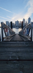 Waterfront harbor scenes at golden hour, marina and city skyline