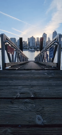 Waterfront harbor scenes at golden hour, marina and city skyline