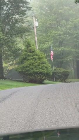 The video shows a foggy, tree-lined road with an American flag on a flagpole to the right of the road. A utility pole is visible to the left of the flagpole. The flag is red, white, and blue. The trees are green and lush. The road appears to be paved and curves to the right. There are also some bushes and a mailbox visible in the scene. The overall atmosphere is peaceful and serene.