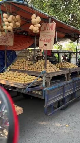 The video shows a fruit stand. There are several piles of light brown, oval-shaped fruits on wooden platforms. Above the fruit, there is a tarp that is orange and red. Hanging from the tarp are clusters of the same light brown fruit. Signs are visible, with one reading "SAWO MADU MANIS 5000" and another reading "LANJOIS 105". The stand appears to be on a street, with a vehicle partially visible in the foreground on the left. Trees and other vegetation are visible in the background. The lighting suggests it is daytime.