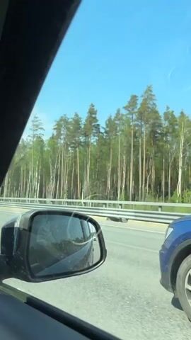 The video shows a car driving on a highway on a clear, sunny day. The view from the driver's side window shows a forest alongside the road. The car's side mirror is visible and appears dusty. The view through the front windshield shows other cars on the road ahead, and overhead streetlights. The dashboard is black. The video captures the movement of the car along the highway as well as the surrounding landscape.