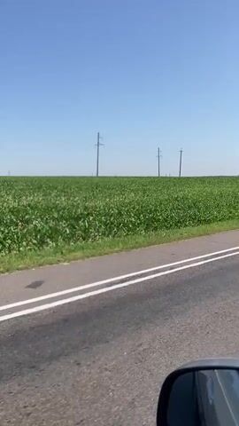 This is a first-person perspective video shot from inside a vehicle traveling on a road. The road has a black asphalt surface with two white lines marking the lanes. On the right side of the road, a side mirror of the vehicle is visible in the foreground. Beyond the road and to the left, there is a vast field of green crops, possibly corn, stretching into the distance. The field is expansive and covers a large portion of the frame. In the background, against a clear blue sky, several tall utility poles with power lines are visible, spaced out across the horizon. The scene appears to be a rural landscape under bright daylight conditions. The vehicle is in motion, indicated by the slight blur of the scenery and the perspective shift. There are no people or other vehicles directly visible in the shot.