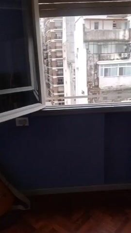 The video shows a view from a window in an urban setting. In the foreground, an open window reveals a glimpse of a blue wall, an electrical outlet, and the top of a guitar leaning against the wall. The focus shifts to the view outside the window, which consists of a courtyard overgrown with greenery. Tall buildings surround the courtyard. The courtyard contains a small pool and various objects scattered among the plants. The camera moves slightly, providing a fuller view of the courtyard from the window. The overall impression is of a hidden green space within a dense urban environment.