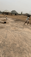 Rural Nigerian communities document daily life amid grazing cattle