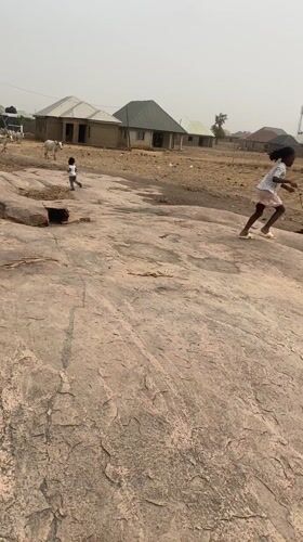 Rural Nigerian communities document daily life amid grazing cattle