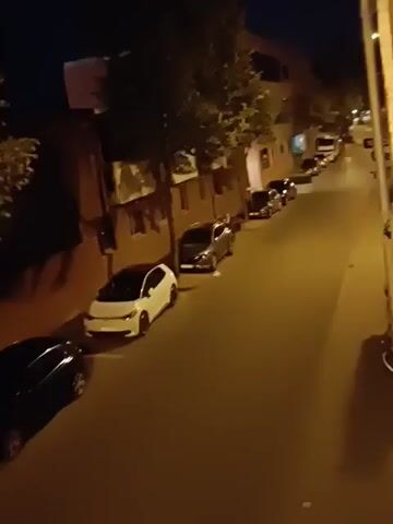 The video shows a street at night with several cars parked along the side. The lighting is dim, with streetlights casting yellow glows. The camera is positioned at an elevated angle, looking down at the street. There are trees with foliage lining the sidewalk, and buildings are visible in the background. The cars appear to be various models and colors, with one white car in the foreground having a black roof. One black car in the foreground is parked at an angle, with its front wheel turned. The scene is quiet and still, with no people or movement visible.