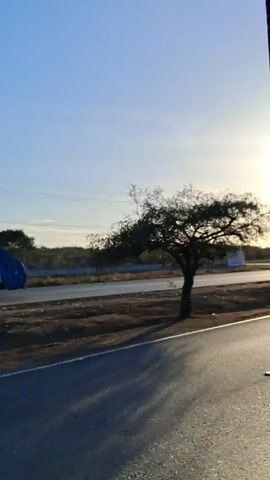The video shows a highway under a clear sky. A lone tree sits on the side of the road. A silver pickup truck drives on the other side of the highway. There's a sign along the road with lettering on it. Several telephone poles line the road. As the camera moves down the road, a palm tree comes into view. The sun shines brightly.