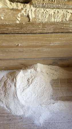Traditional grain mill operations documented in rural Georgia