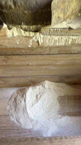 Traditional grain mill operations documented in rural Georgia