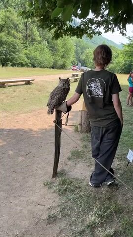 A young person wearing a dark green t-shirt with a bird graphic and dark pants stands facing away from the camera, holding a large owl on their gloved hand. The owl is perched on a wooden post. The background shows a grassy field with trees, a picnic table, and a few people in the distance. The lighting suggests it is daytime, possibly with some overcast.