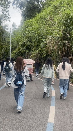 Group with backpacks walks tree-lined road in Chongqing