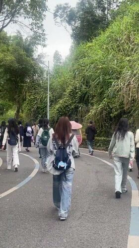 Group with backpacks walks tree-lined road in Chongqing