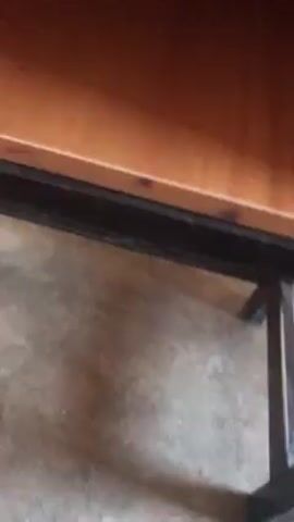 The camera pans up and inside a wood-colored cabinet with a black metal base. The cabinet appears to be unfinished, perhaps mid-restoration. The background is out of focus. The sound is echoing, unclear speech, perhaps in church.