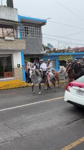 The video shows a group of people on horseback riding down a paved street in a town or small city. The riders appear to be adults wearing cowboy hats, with one adult riding with a small child. The horses vary in color, including gray, brown, black, and tan. They are all saddled and bridled, and appear well-groomed. The road has a double yellow line, indicating no passing. On either side of the street are buildings, with a mix of commercial and residential structures. The buildings are a mix of architectural styles, with a few appearing to be two stories. The overall atmosphere of the video seems festive and celebratory. A white car is also present in the scene. The weather seems overcast.