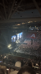 Stadium Concert Draws Massive Crowd in Vysokaya Gora, Russia