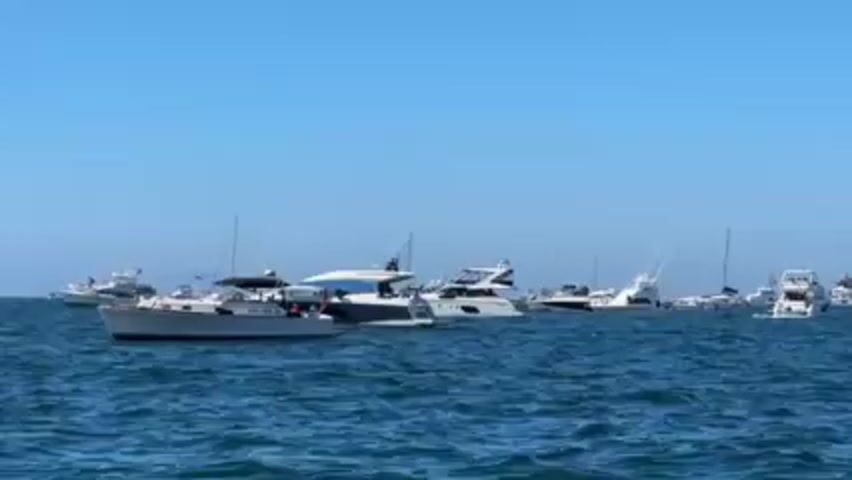 The video shows a harbor filled with numerous boats of various sizes, including yachts, sailboats, and smaller motorboats. The water is blue and choppy. The sky is clear and bright blue. Some of the boats appear to be clustered together. A person is visible on one of the sailboats near the right edge of the frame.