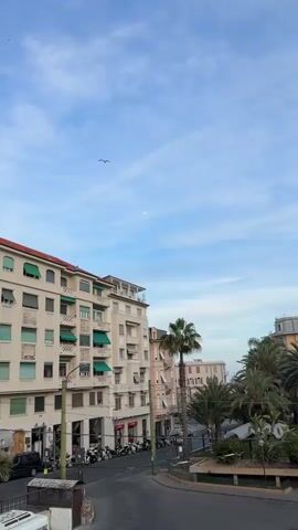 This video captures a daytime view of a street scene in Sanremo, Italy, likely from an elevated perspective such as a balcony. The sky is light blue with scattered wispy white clouds, and a faint moon is visible high in the center of the frame. A large white bird, possibly a seagull, flies across the top left portion of the sky, with other smaller birds seen as distant specks.

The left side of the frame is dominated by multi-story residential or commercial buildings, predominantly light cream or beige in color. These buildings feature numerous windows and balconies, many equipped with distinctive green retractable awnings. One building on the far left has a terracotta-tiled roof.

Below the buildings, a curving asphalt road is visible. Along the left side of the street, several motorcycles and scooters are parked in a row. A black car is also parked near the foreground on the left.

To the right of the street, there's an abundance of lush green palm trees, some tall and others forming dense clusters of foliage, suggesting a park or landscaped area. The architecture in the background on the right includes more buildings, some with pastel-colored facades. The overall impression is that of a bustling yet pleasant Mediterranean town on a clear day.