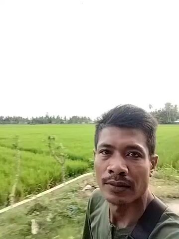 A man takes a selfie-style video standing near a bright green rice paddy.  The sky is overcast and light. A line of trees is visible in the distance across the rice paddy. The man has short black hair, brown skin, and a mustache. He is wearing a dark green t-shirt and a black strap is visible going over his shoulder. He is looking into the camera. Palm fronds pass overhead.