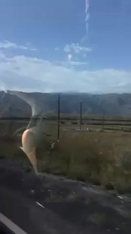 The video shows a view from a moving vehicle, looking out over a rural landscape. In the foreground, the black surface of a road is visible. Beyond the road, there's a stretch of grassy terrain with sparse vegetation. A white roadside marker stands near the edge of the road. In the distance, a range of mountains is visible under a bright blue sky with scattered clouds. The reflections on the window create some visual distortion, obscuring some parts of the scene.  Power lines stretch across the landscape.  The video appears to be recorded during the day, with sufficient sunlight illuminating the scene.