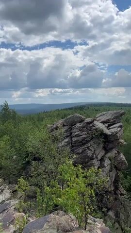 The video shows a panoramic view from a rocky outcrop overlooking a dense forest under a cloudy sky. The camera pans slowly from right to left. In the foreground, large grey rocks are covered in green moss and small leafy bushes. To the left, tall green trees form a thick forest that stretches to the horizon. The sky is blue with dramatic white and grey clouds. The landscape appears wild and natural, with no signs of human activity.