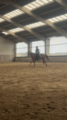 Woman conducts horse training at Belgian equestrian facility
