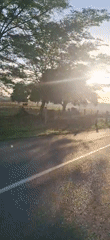 Morning light illuminates rural Vallecito, Venezuela countryside