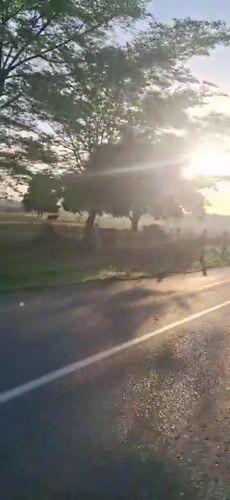 Morning light illuminates rural Vallecito, Venezuela countryside