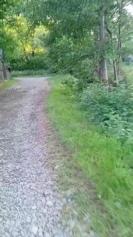 The video captures a point-of-view perspective of a person walking on a gravel path. The setting appears to be a rural area in Veliatyno, Ukraine, with dense green foliage lining the right side of the path and trees overhead. On the left side of the path, a rustic wooden building with a dark roof is partially visible, suggesting a farm or an outbuilding. The path itself is covered in light-colored gravel, and the grass to the right is vibrant and lush, indicating a mild or warm climate. The light filtering through the trees suggests it is daytime, likely late afternoon given the soft, golden hue of the light. There are no people or animals directly visible in the frame, and no text is present. The overall mood is serene and natural, evoking a sense of peaceful exploration. The camera movement is smooth, following the natural stride of the walker.