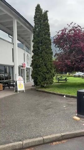 The camera pans slowly across a roadside rest area on a cloudy day.  There are patches of grass, a red-leaved tree, picnic tables, and a trash can overflowing with litter.  The area is paved and wet from a recent rain.  In the distance, there are trees and a mountain range.  Several cars and a camper are parked nearby. A sign advertises ice cream in front of a building. The camera movement ends focusing on a row of cars near an electric vehicle charging station.