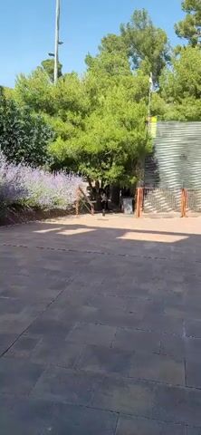 At 00:00, the video begins with a wide shot of an outdoor paved area with trees and bushes. At 00:01, the camera zooms in slightly on a person walking in the distance. At 00:02, the person is closer, and it appears they are walking towards a wooden structure with a fence. At 00:03, the camera shifts its focus to a skateboard on the ground in the foreground. At 00:04, two people are visible. One person is on a skateboard, wearing a blue t-shirt, black shorts, and a blue cap, facing away from the camera. Another person is standing behind them, also on a skateboard, wearing a white shirt and dark pants, facing towards the left. The background shows more trees and the wooden structure.