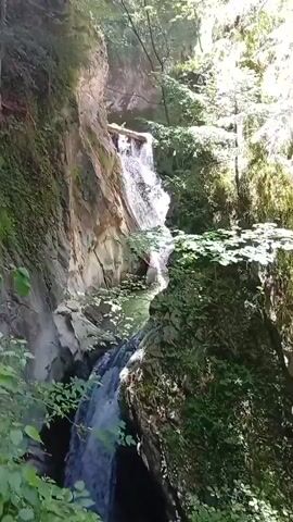A waterfall cascades down a rocky gorge surrounded by lush green foliage. Sunlight filters through the trees, illuminating the water and the surrounding rocks. The camera pans downwards, following the flow of the water as it plunges into a pool below. The sound of the waterfall is prominent in the audio.