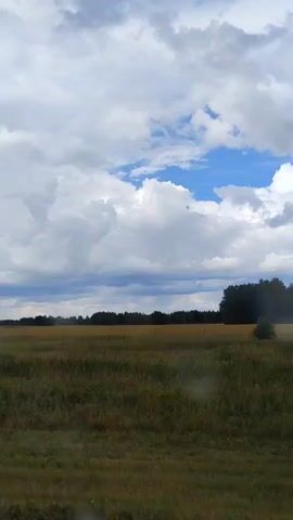 The video shows a landscape with a field of tall grass and a forest in the distance under a cloudy sky. A solitary bush is visible in the foreground of the field. As the video progresses, the camera pans to the right, revealing an orange marker post in the field. Further to the right, two more bushes appear in the middle ground, and a distant dark rain shower is visible in the sky. The camera continues to pan right, showing more of the field and the distant rain shower. The video ends with a view of the field and the approaching rain.