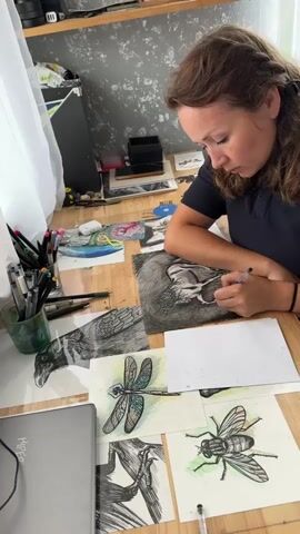 A woman with brown hair is sitting at a wooden desk, drawing on a piece of paper. She is wearing a dark blue shirt. Her right arm is bent, and she is holding a pen in her right hand, drawing on the paper in front of her. Her left arm is resting on the table. The desk is covered with several drawings of insects and birds, as well as a cup of pens and pencils. To the left of the desk, there is a white curtain and a laptop. The background is a wall with a floral pattern. The lighting in the scene is bright and natural, possibly from a window.