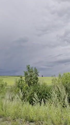 A short video shows a roadside scene with a traffic sign indicating a crossroad. The sign is red and white and features a black cross symbol. The background consists of a yellow field of flowers and green grass under a cloudy sky with hints of a rainbow. Trees are scattered across the landscape, and a utility pole is visible in the distance. A yellow billboard with Russian text is also present, featuring the words "СПРАВЕДЛИВАЯ РОССИЯ" which translates to "A Just Russia," along with a phone number. The camera pans slightly, offering a view of the rural environment.