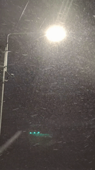 Heavy snowfall observed under street lighting April 10