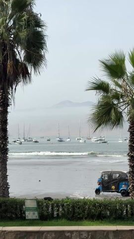 The scene is a beach with several palm trees framing a view of boats in the ocean. The sky is overcast, and a hazy mist covers the mountains in the distance.  A blue and black three-wheeled vehicle sits on the beach near the water's edge.  A sign is visible on the left-most palm tree.  A short wall with green vegetation is in the foreground. Some people are present in the water and on the beach.