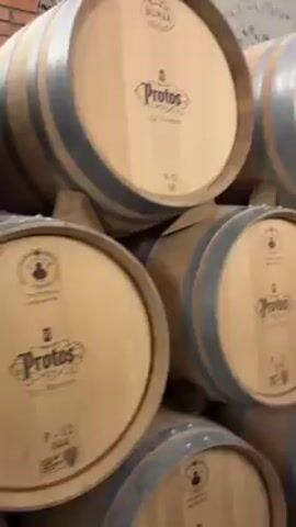 The video shows a group of people on a wine cellar tour. The camera pans from a stack of wooden wine barrels to show the tour group standing in a long, arched cellar. The cellar has a brick arch ceiling and barrels stacked on either side of a walkway. A woman is seen holding a glass of red wine. The people are dressed in coats and jackets.