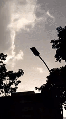 Evening sky captured through tree silhouettes in Caracas