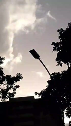 Evening sky captured through tree silhouettes in Caracas