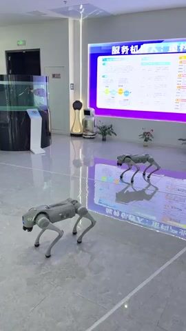 The video shows two grey quadruped robots standing on a shiny tiled floor in what appears to be a lobby or entrance area. The robot closer to the camera is labeled "02." A large digital display is mounted on the wall, showing text in Chinese. Other robots and decorative elements are visible in the background, along with plants and an aquarium. There is no discernible human activity visible in the frame. The scene suggests a technology showcase or exhibit.